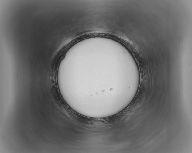 X0000110861255200907091333