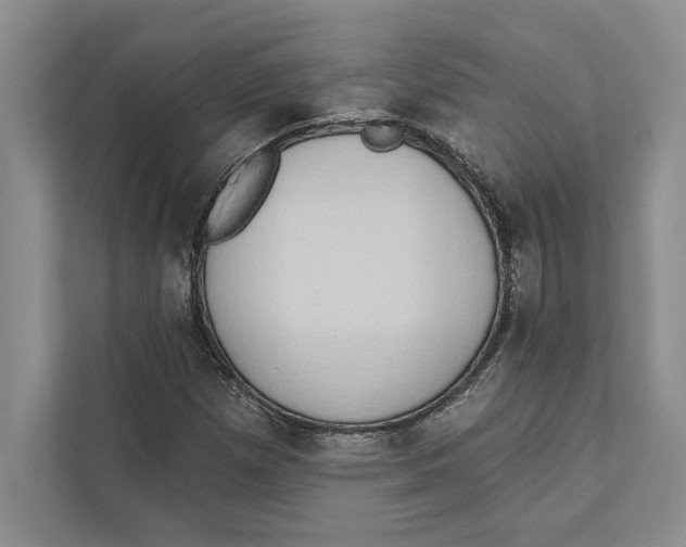 X0000110861257200907091333