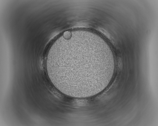 X0000110861258200907091333