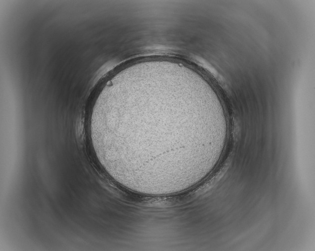 X0000110861259200907091333