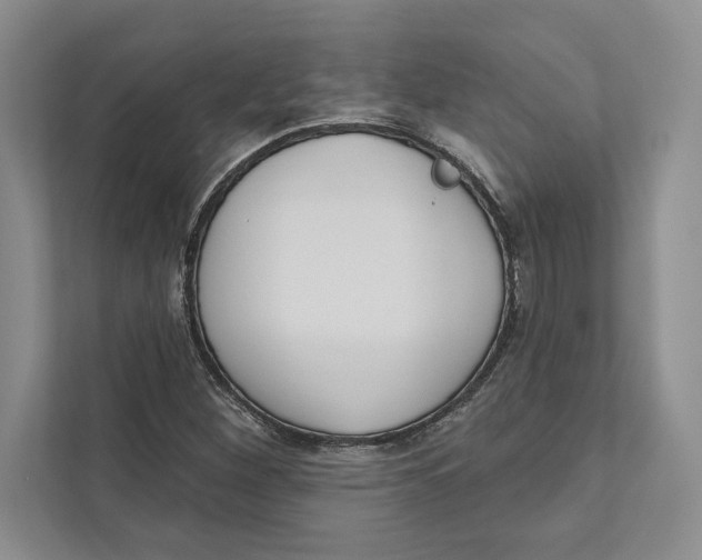 X0000110861260200907091333