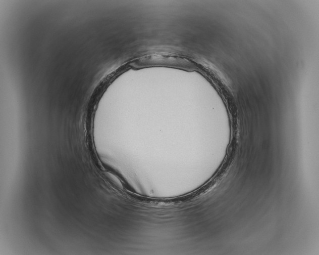 X0000110861261200907091333