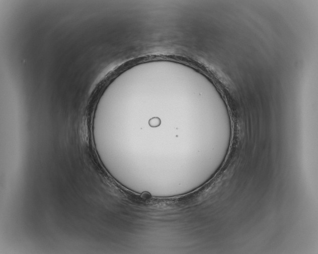 X0000110861262200907091333