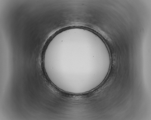 X0000110861264200907091333