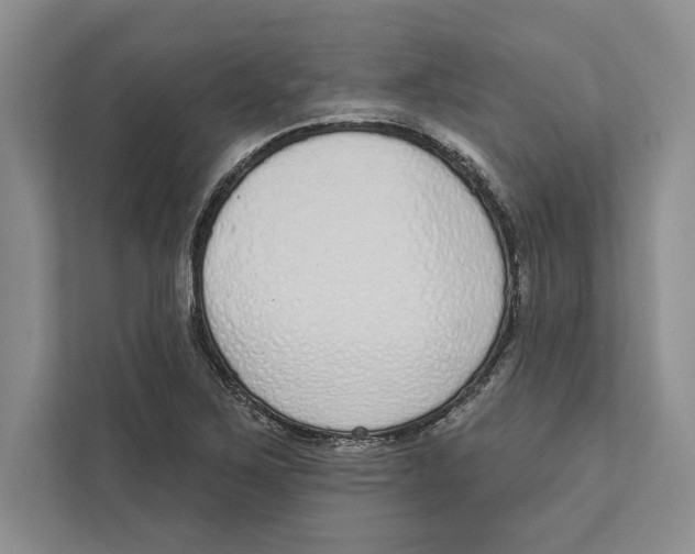 X0000110861267200907091333