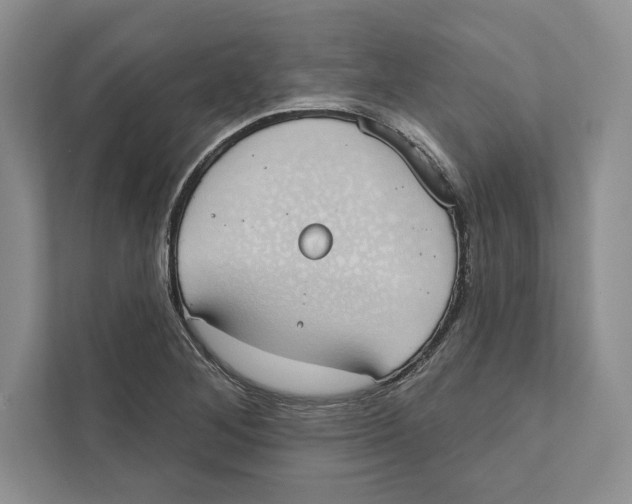 X0000110861268200907091333