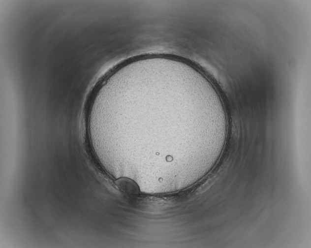 X0000110861270200907091333