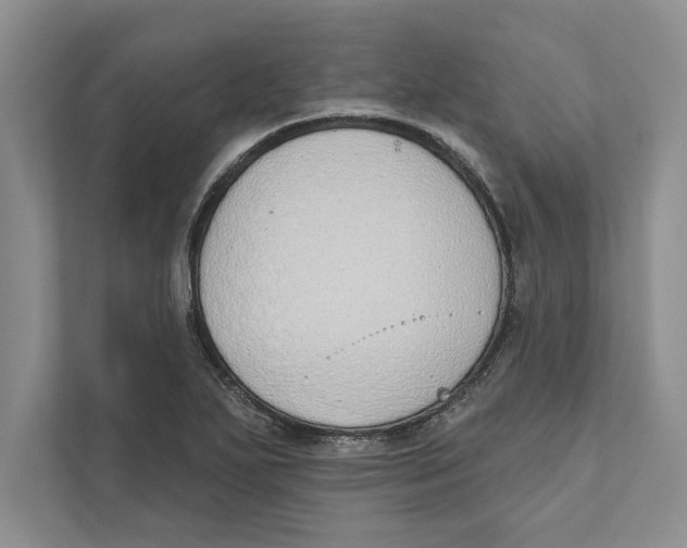 X0000110861271200907091333