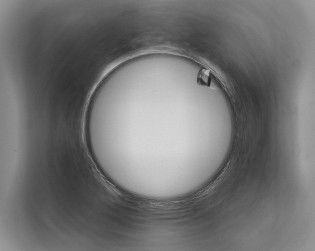 X0000110861272200907091333