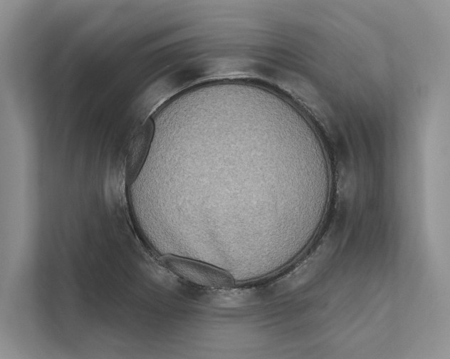 X0000110861273200907091333