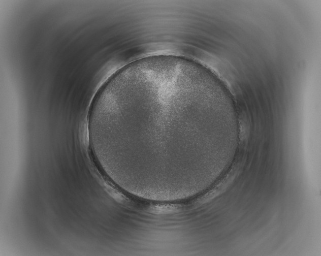 X0000110861274200907091333