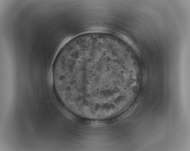 X0000110861275200907091333