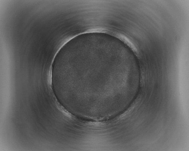 X0000110861276200907091333