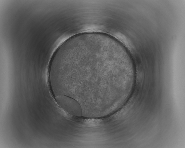 X0000110861277200907091333