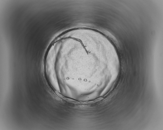 X0000110861280200907091333