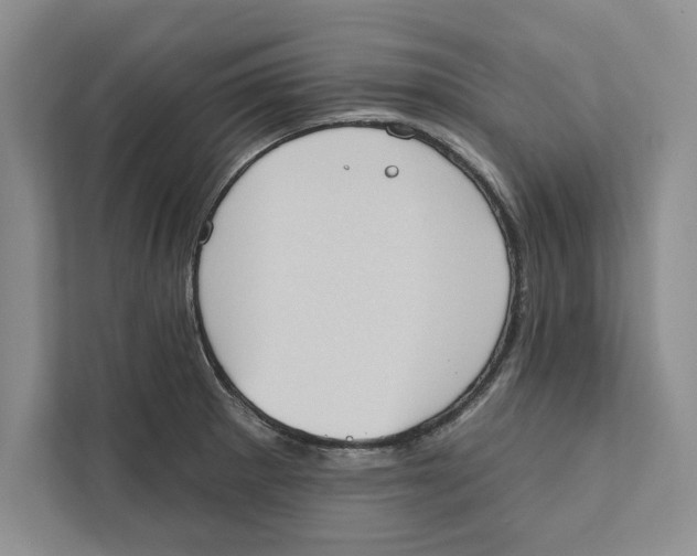 X0000110861281200907091333