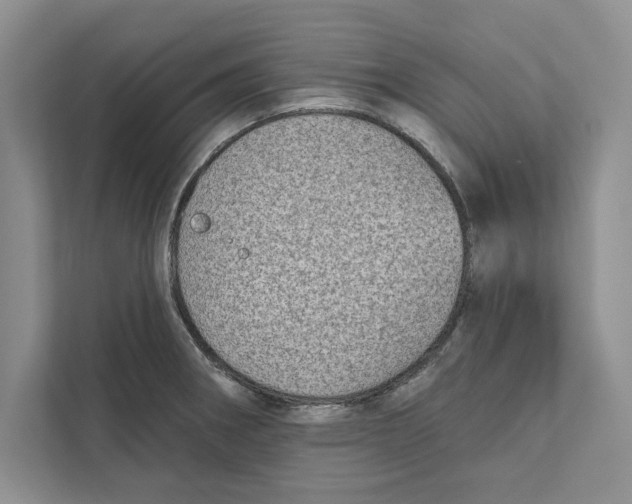 X0000110861282200907091333