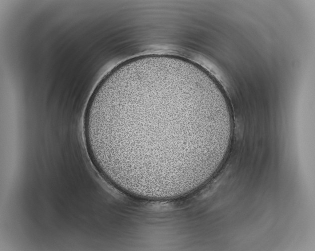 X0000110861283200907091333