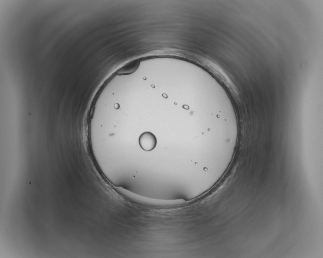 X0000110861284200907091333