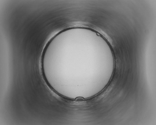 X0000110861285200907091333