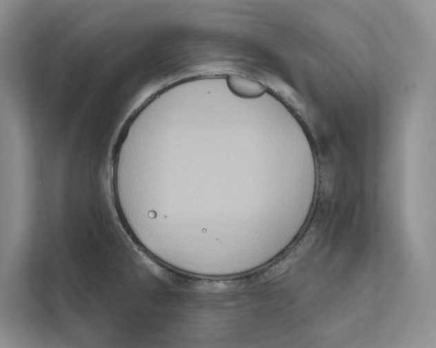 X0000110861286200907091333