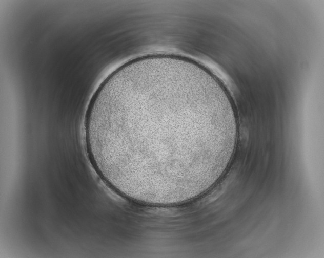 X0000110861287200907091333