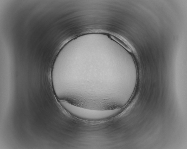 X0000110861289200907091333