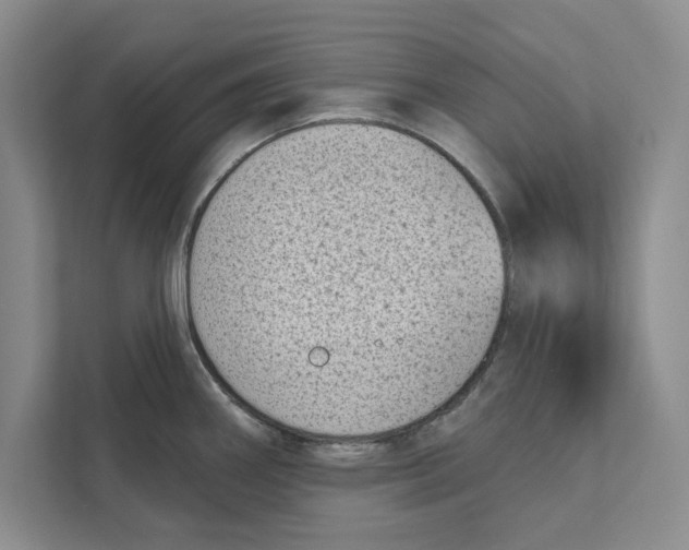 X0000110861290200907091333