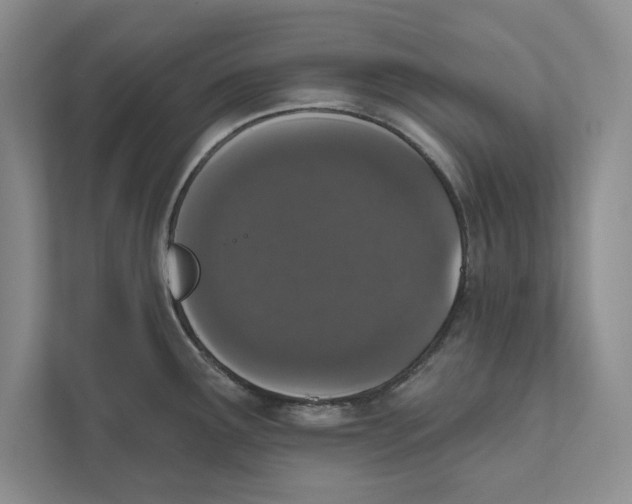 X0000110861291200907091333