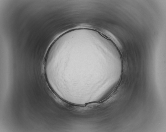 X0000110861292200907091333