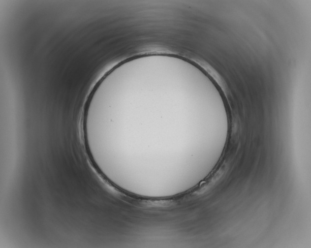 X0000110861293200907091333