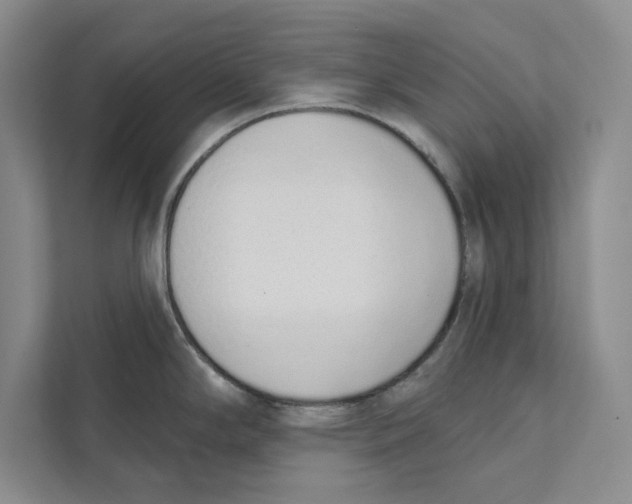 X0000110861294200907091333