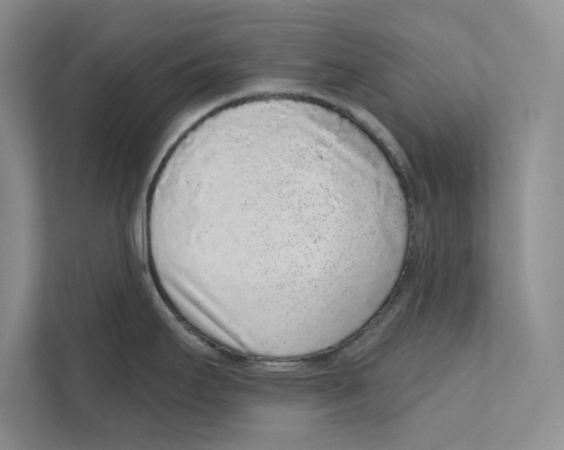 X0000110861295200907091333