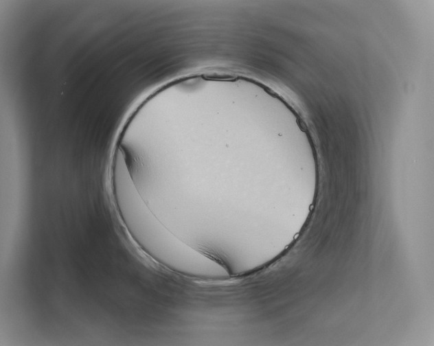 X0000110861296200907091333