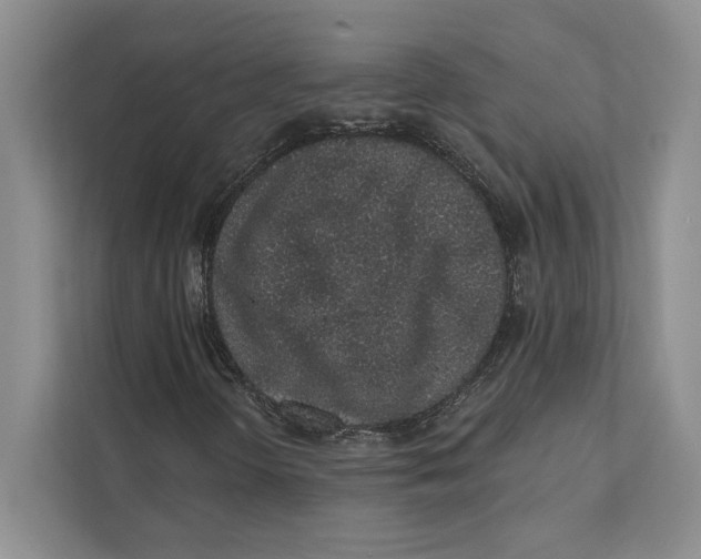 X0000110861298200907091332