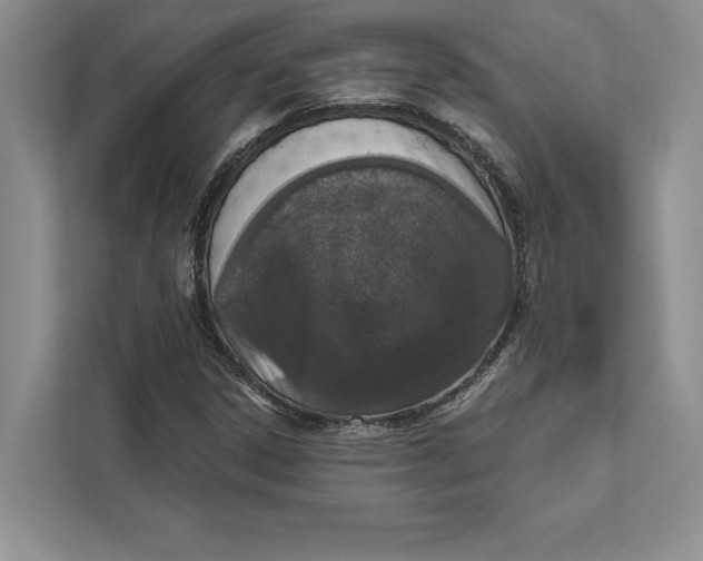 X0000110861306200907091332