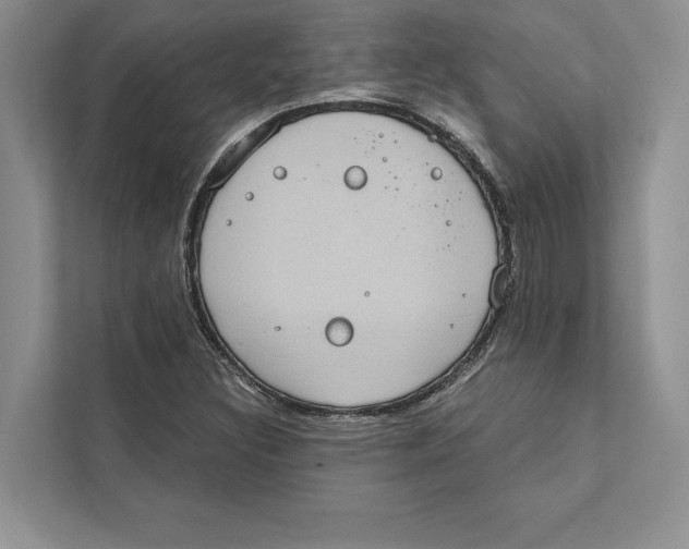 X0000110861308200907091332