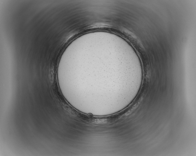 X0000110861313200907091332