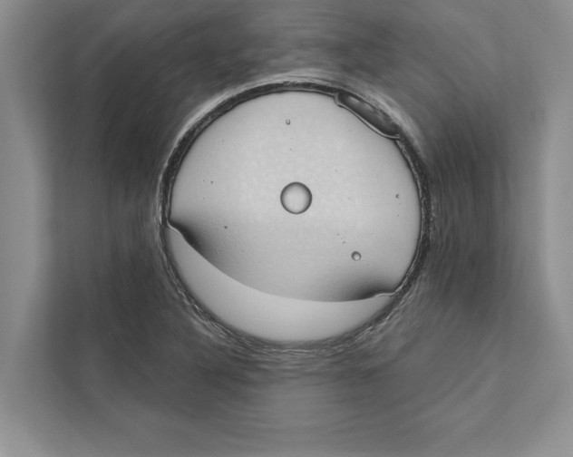 X0000110861316200907091332