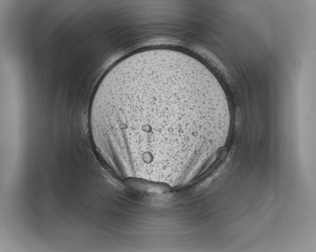 X0000110861321200907091332