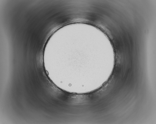 X0000110861322200907091332