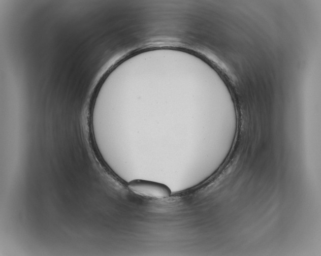 X0000110861325200907091332