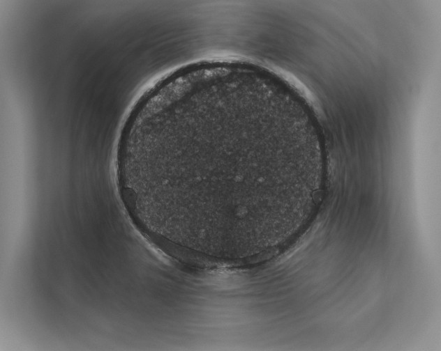 X0000110861327200907091332