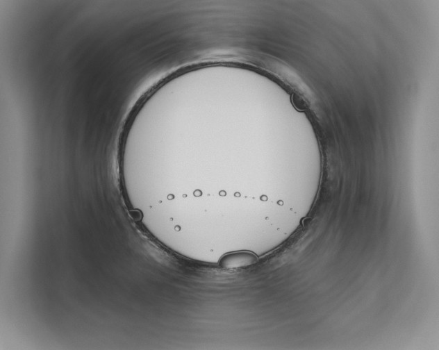 X0000110861328200907091332