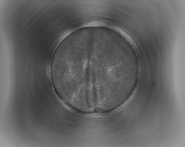 X0000110861329200907091332