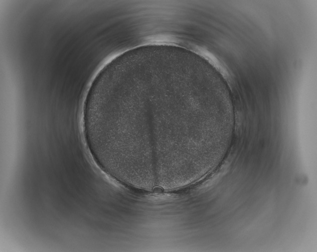 X0000110861331200907091332