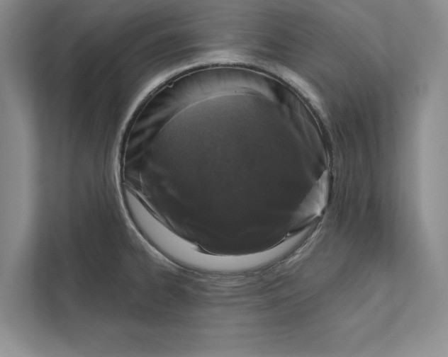 X0000110861334200907091332