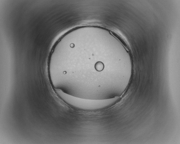 X0000110861336200907091332