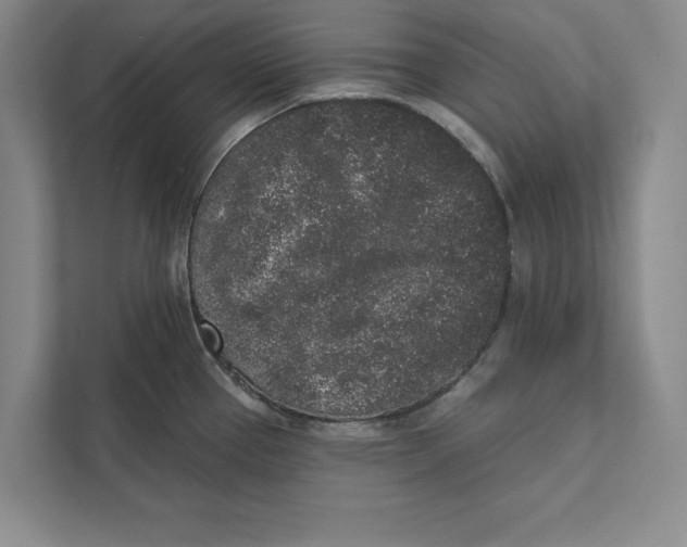 X0000110861337200907091332