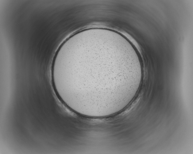 X0000110861341200907091333